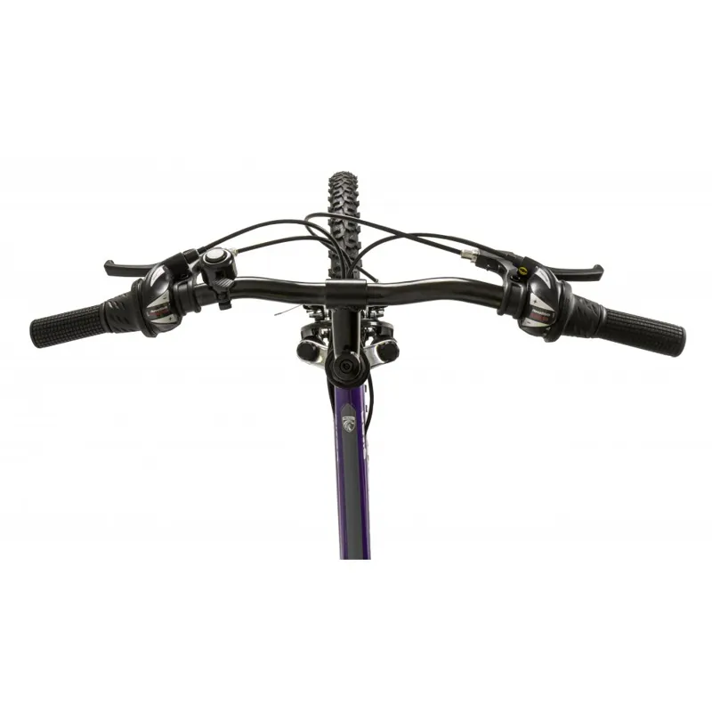 Falcon Siren 24 Inch Wheel Kids Mountain Bike Purple-5