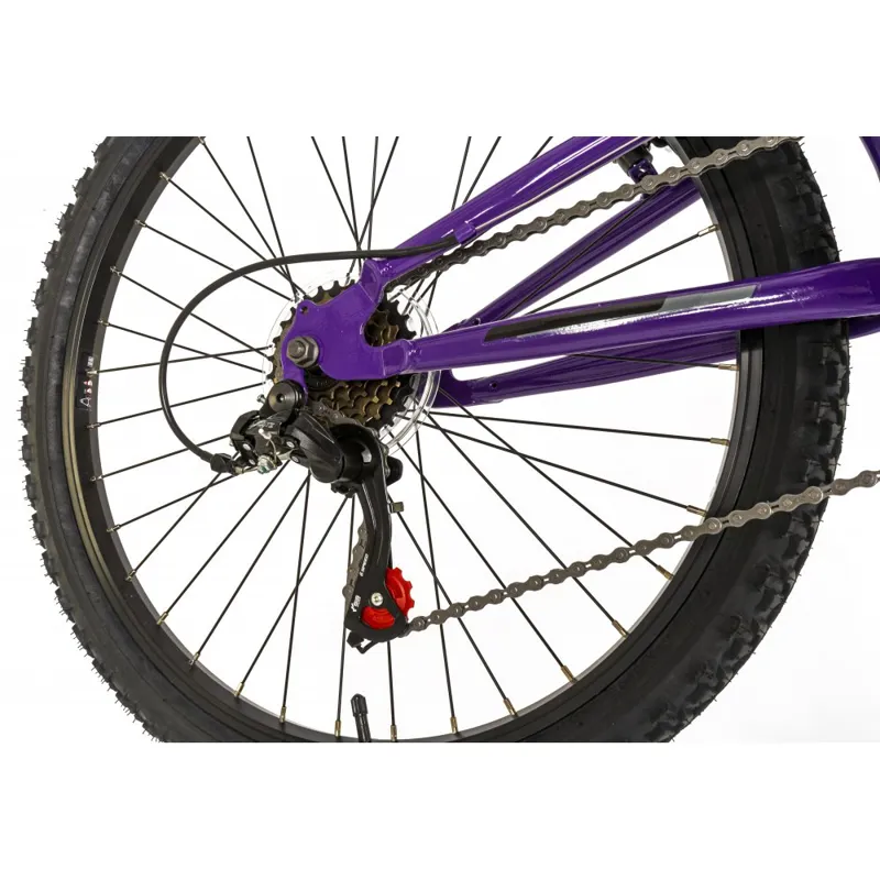 Falcon Siren 24 Inch Wheel Kids Mountain Bike Purple-2