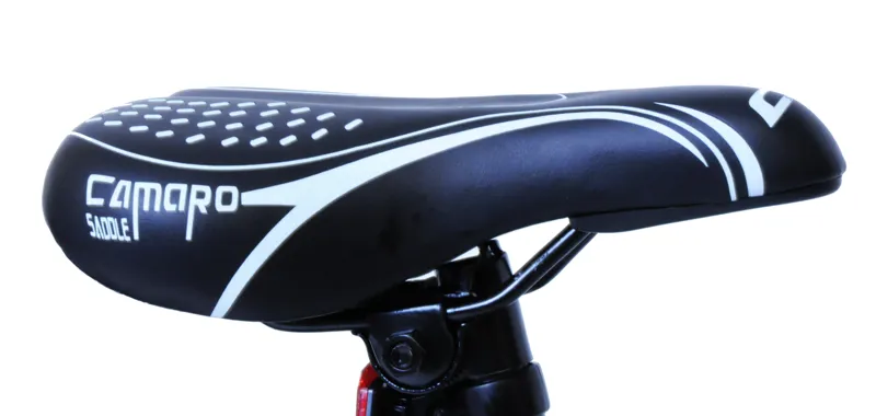 Professional Flic 20 inch Wheel Mountain Bike Blue-6