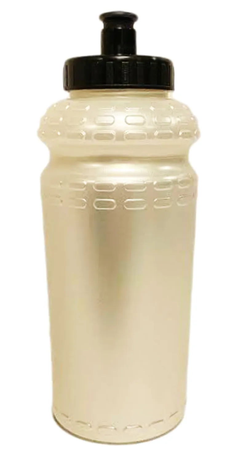 Roto Drinks Bottle Silver 600ml