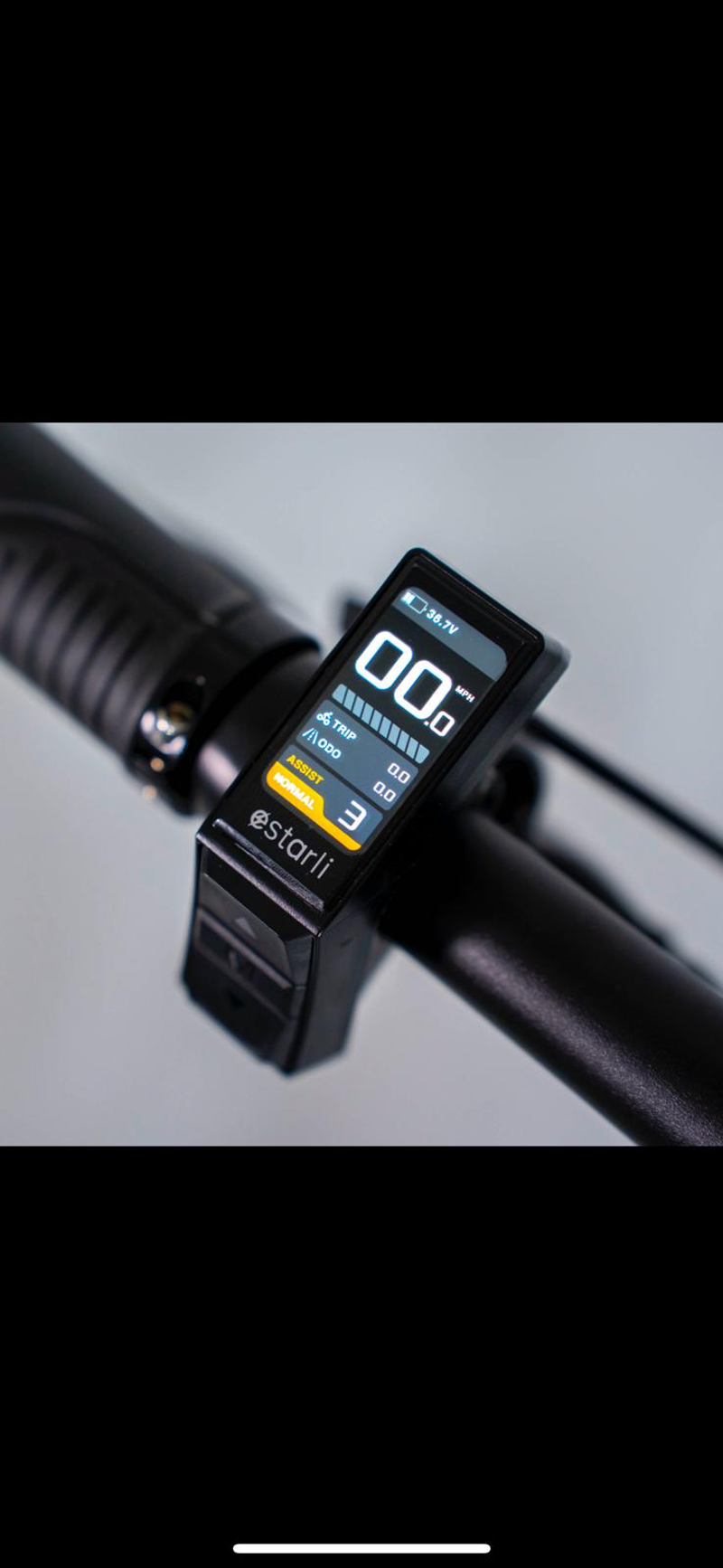 estarli e20.8 Play Folding Electric Bike Raw Silver-7