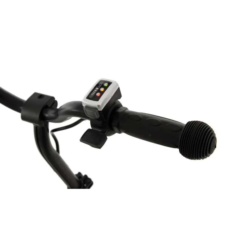 Li-Fe 120 Pro Junior Electric Scooter Black-5