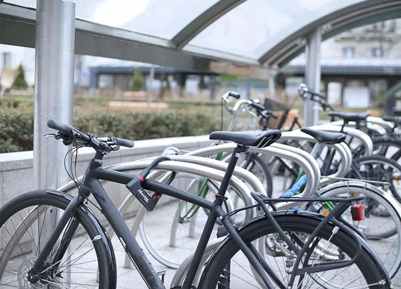 MasterLock Mini D-Lock Gold Secure 80mm x 150mm-3