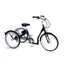 Mission E-Mission Electric Adult Tricycle Black