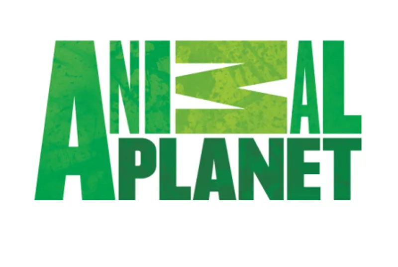 Animal Planet Rattlesnake Knee Elbow Pads-1