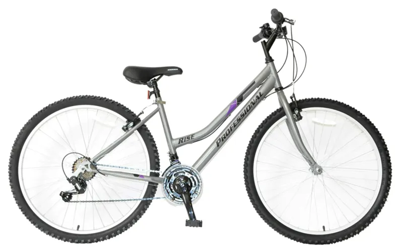 Professional Rise Mountain Bike Grey