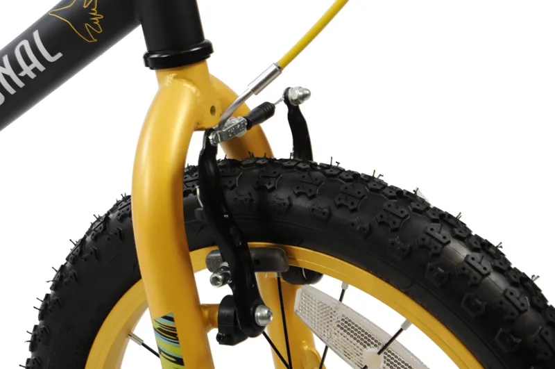 Professional Phantom 18 Inch Wheel Kids Bike Black-5