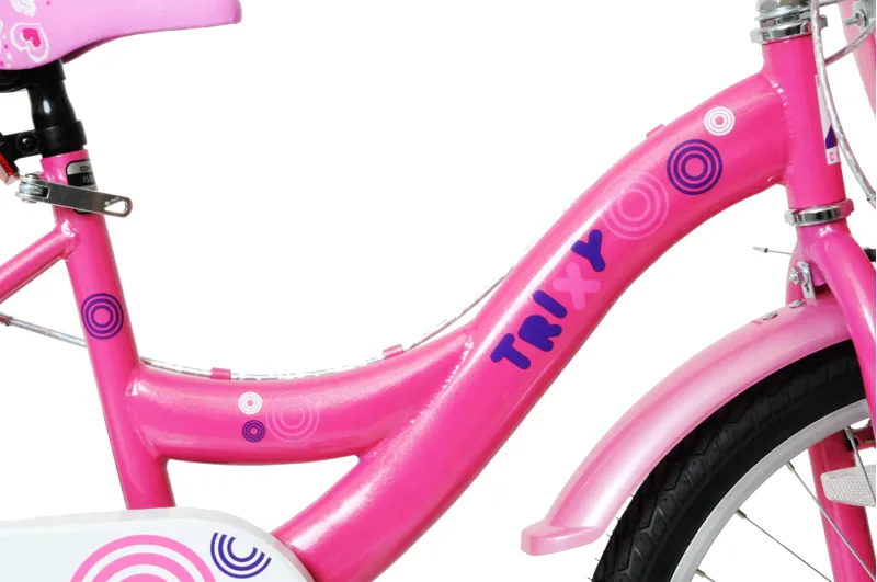 Professional Trixy 20 inch Wheel Kids Bike Pink-4