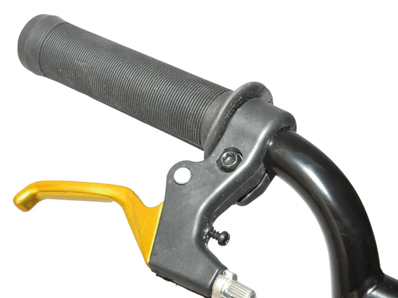 Hawk Raider BMX 20 Wheel Kids Bike Black and Gold-3