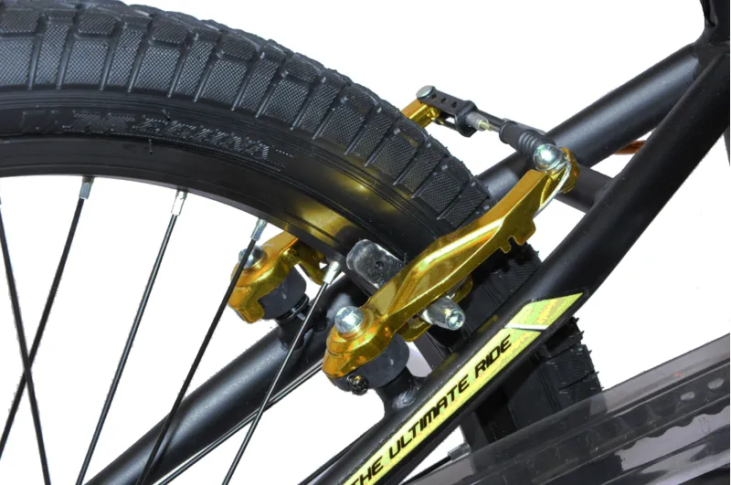 Hawk Raider BMX 20 Wheel Kids Bike Black and Gold-4